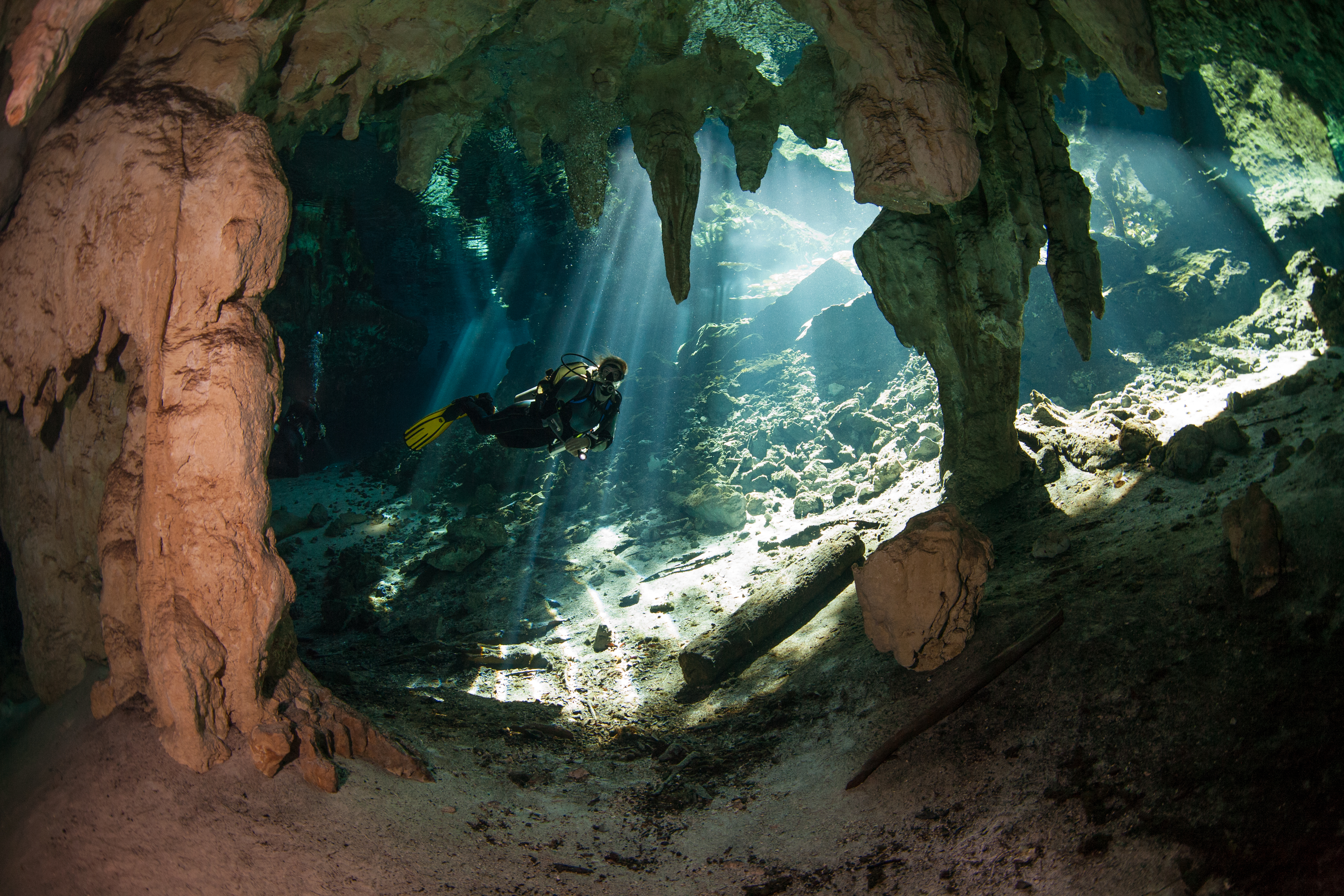 Cave,Diving,In,Cenote