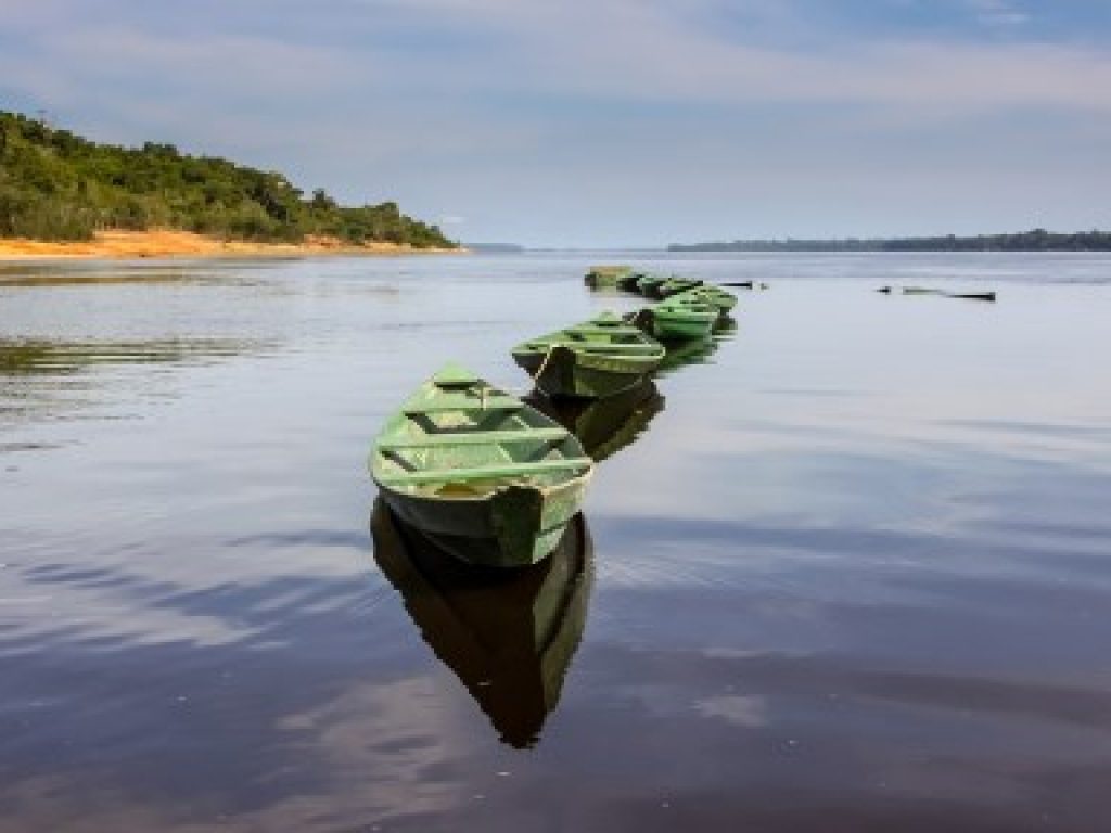 BRA_Amazon shutterstock free