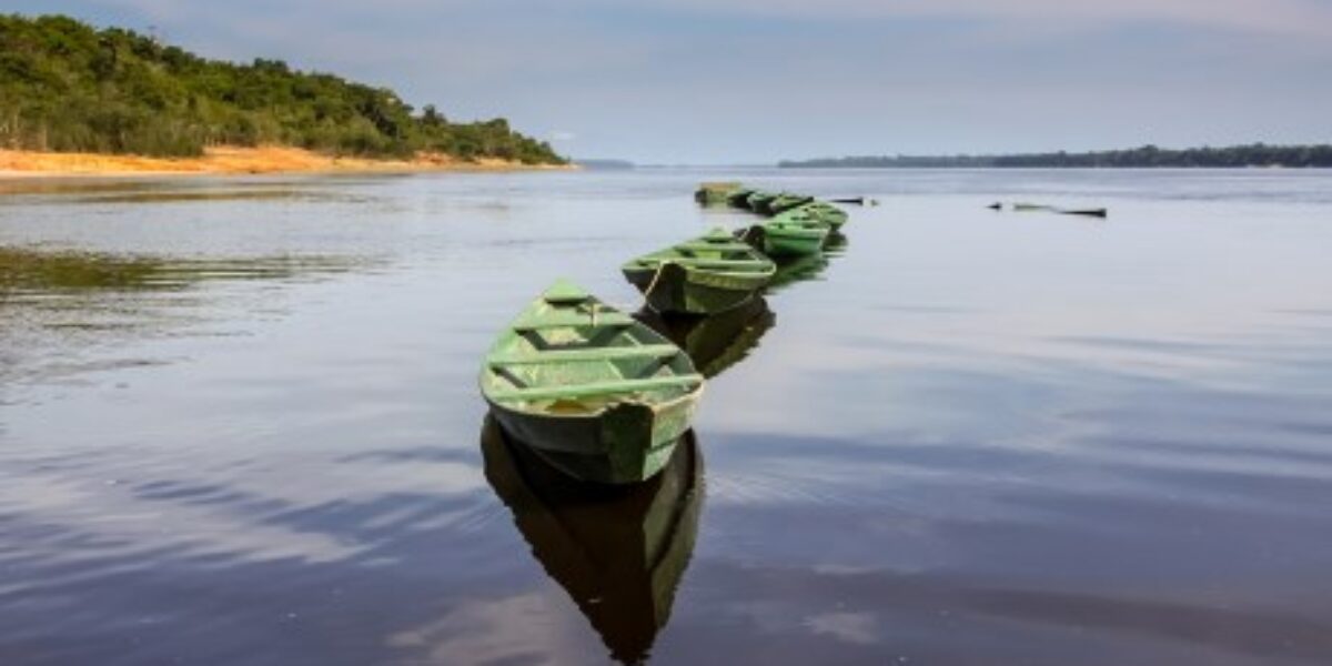 BRA_Amazon shutterstock free