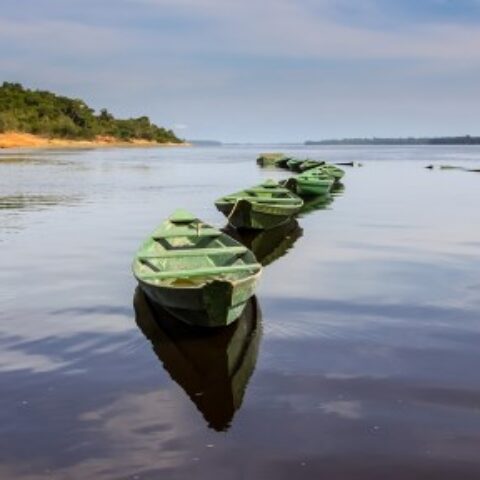 BRA_Amazon shutterstock free