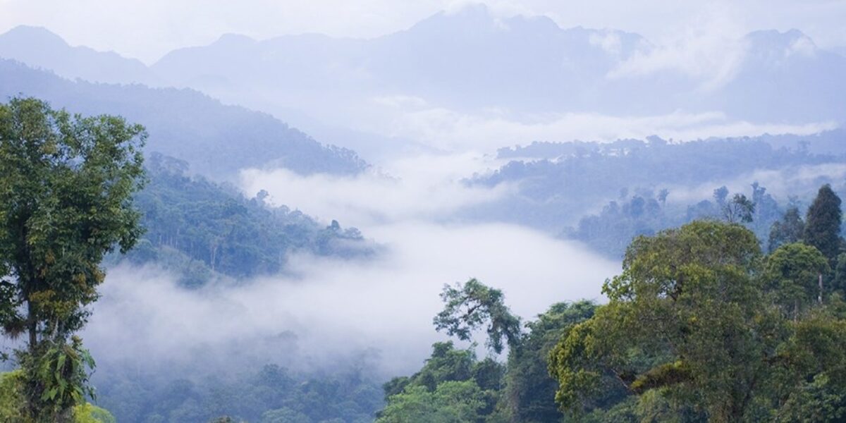 mindo-ecu-mindocloudforest-free-istock-117148605-2-banner