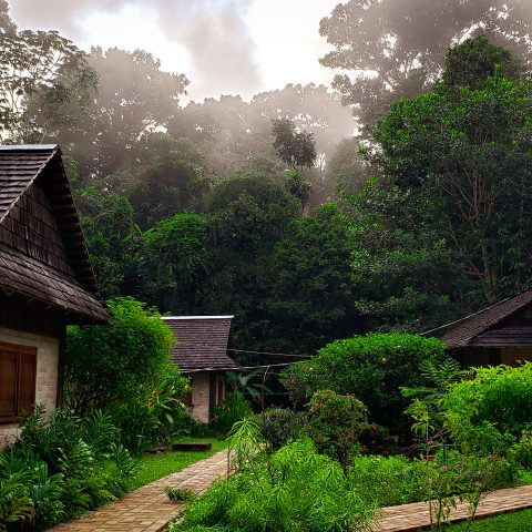 Atta Rainforest Lodge