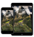 App App