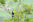 iStock © Toucan in Costa Rica