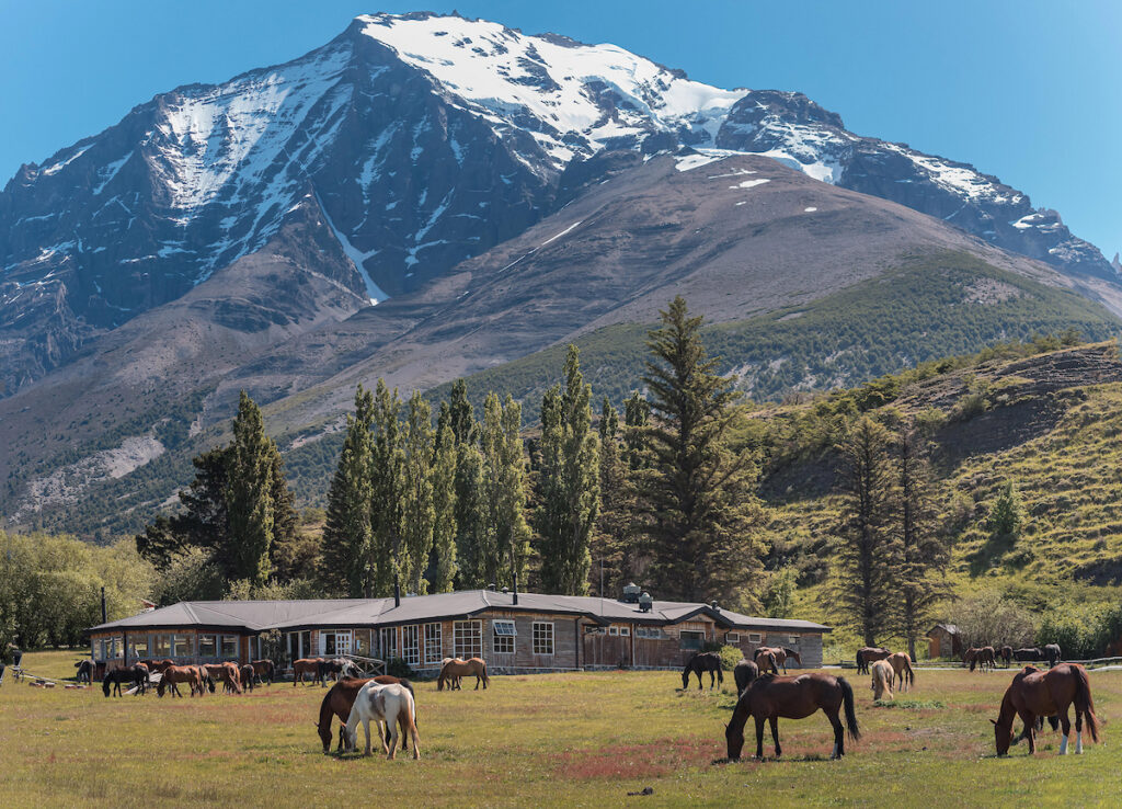 Hotel Las Torres exterior with horse and mountain backdrop