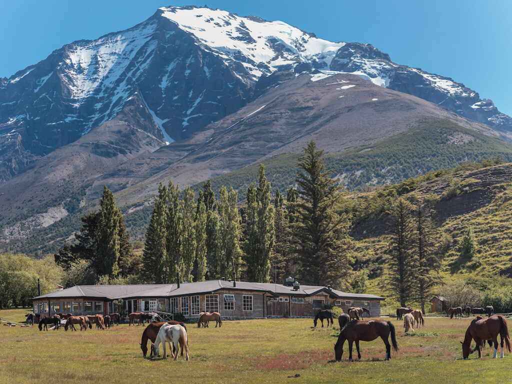 Hotel Las Torres exterior with horse and mountain backdrop