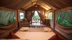 Ecuador – Galapagos – Accommodation – Galapagos Safari Camp – Tent interior
