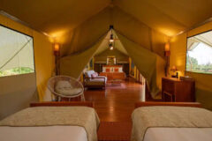 Ecuador – Galapagos – Santa Cruz – accommodation – Galapagos Safari Camp – family tent