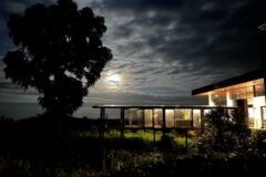 Exteriors Scalesia – IMG_6902