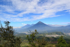 Pacaya Volcano