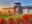 IMG-20190317-WA0002