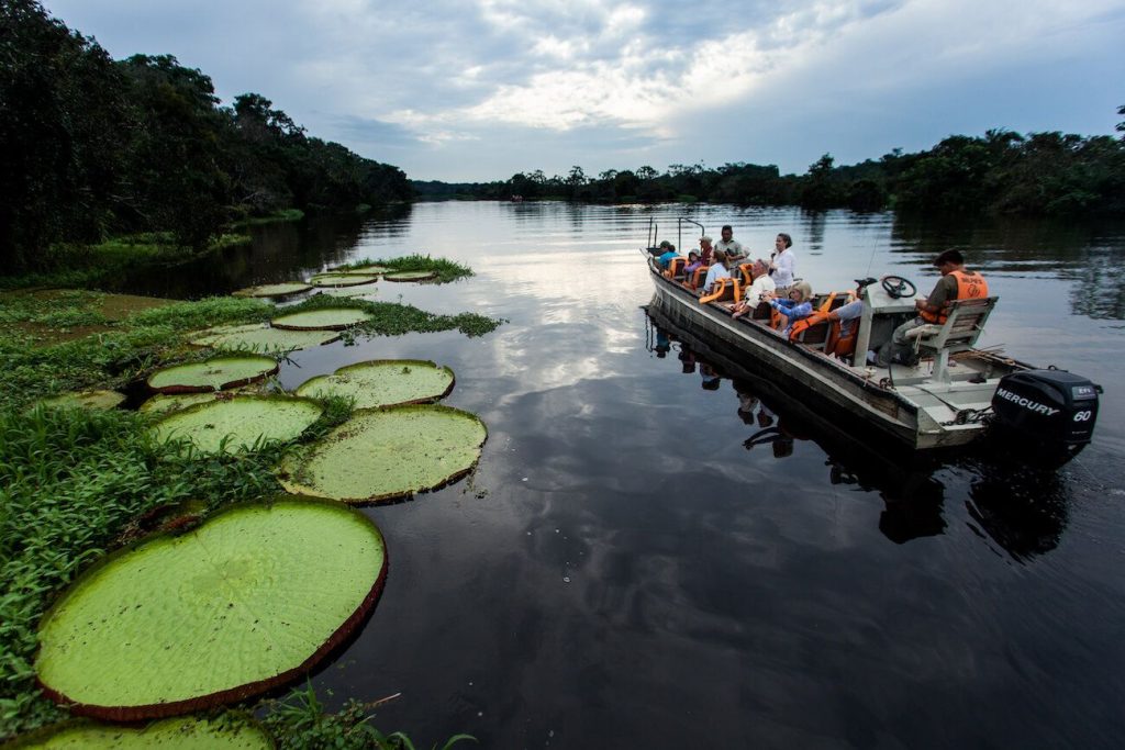 Peru – Amazon – Delfin III – excursion