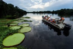 Peru – Amazon – Delfin III – excursion