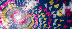 papagaio-new-banner papagaio-new-banner