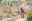 shutterstock_2171198019-min