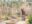 shutterstock_2171198019-min