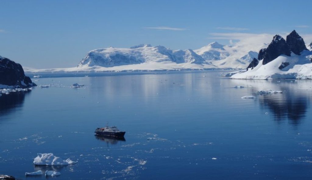 ANT_ortelius in antarctica.png__OCEANWIDE