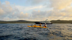 ECOVENTURA ©