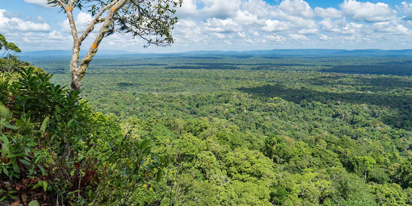 View of Guyana's interior