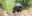 ShutterStock © ShutterStock ©