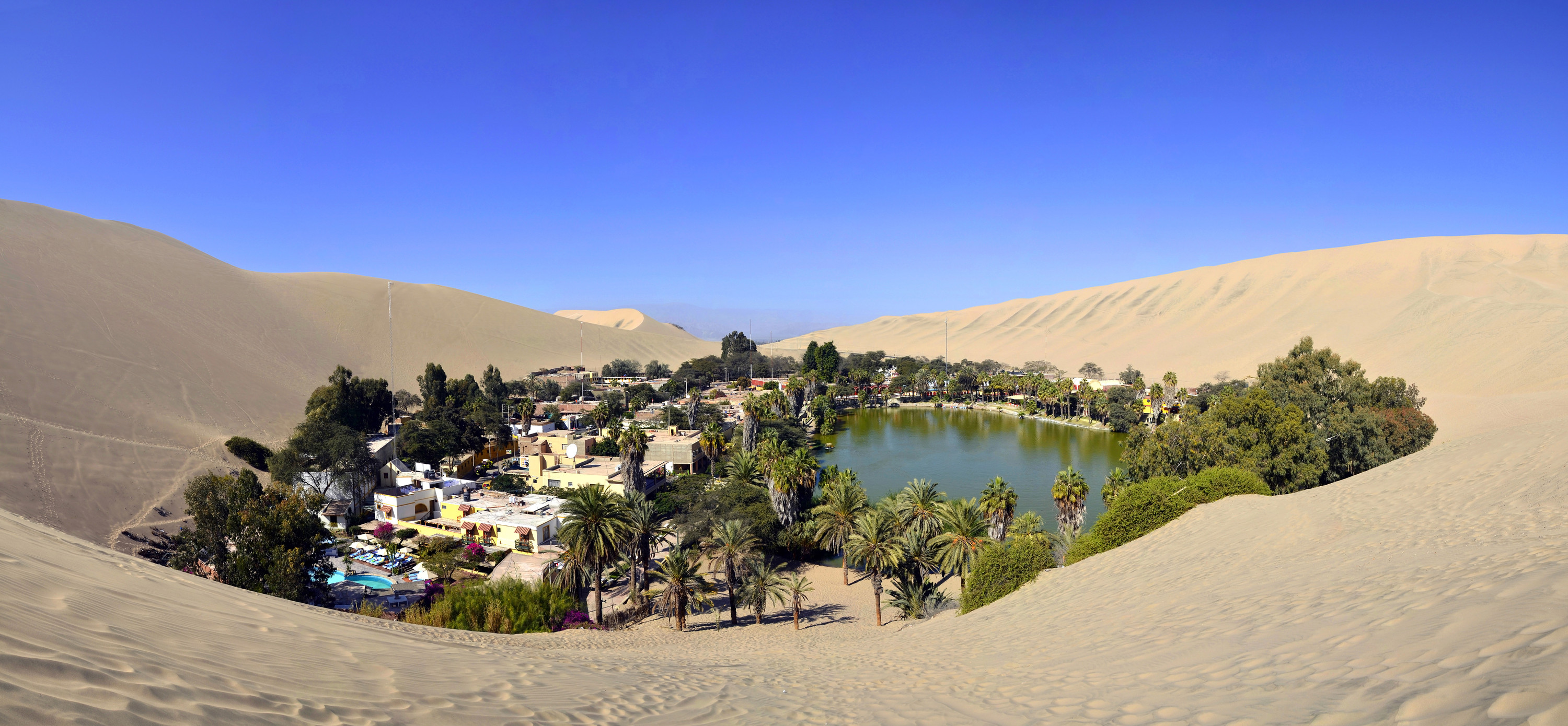 PERU SAFARIS ©