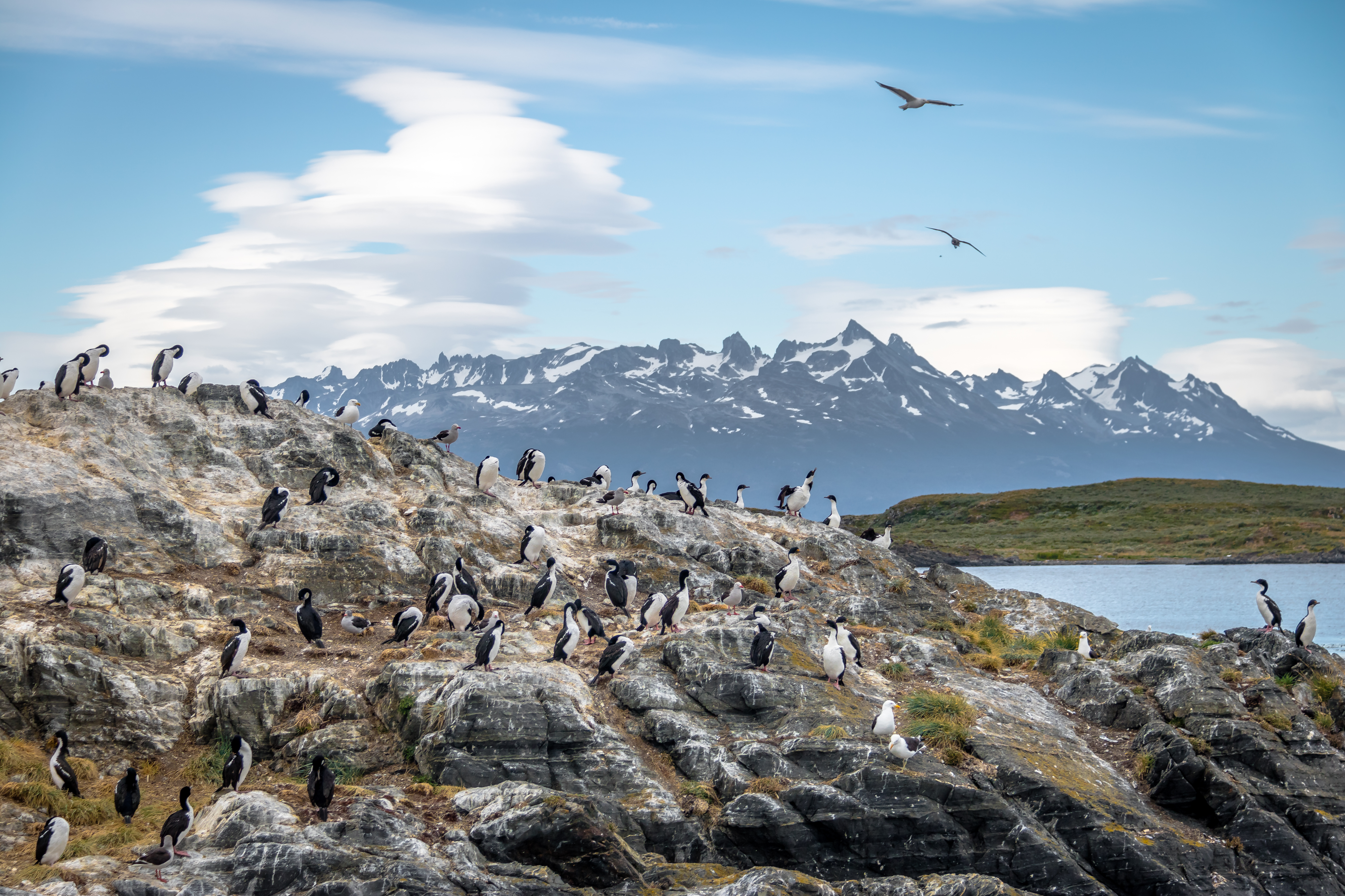 ARG_Ushuaia_iStock-699196394