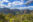 BOL_AmboroNationalPark_shutterstock_256634494