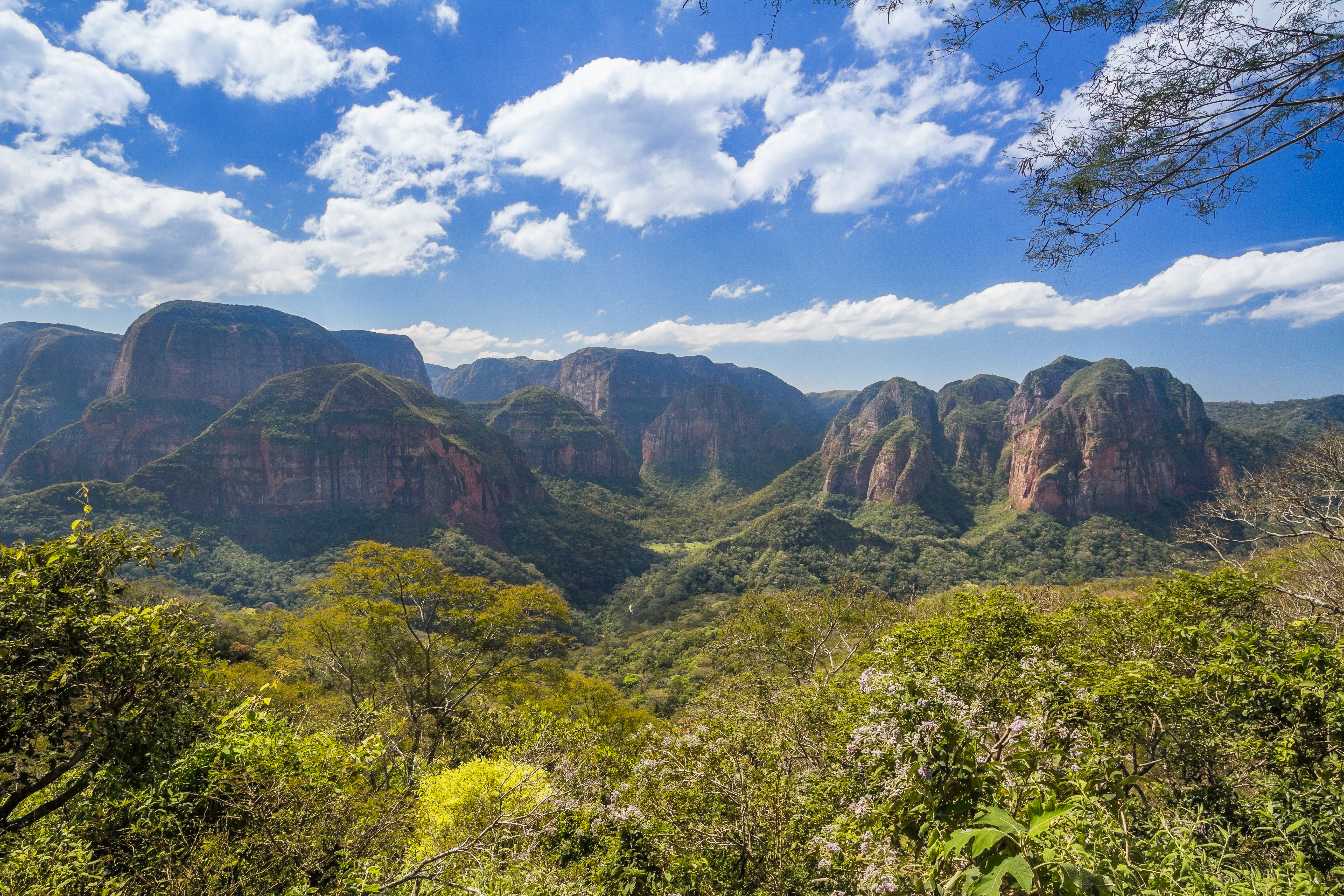 BOL_AmboroNationalPark_shutterstock_256634494
