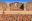 BOL_Tiwanaku_shutterstock_584750893