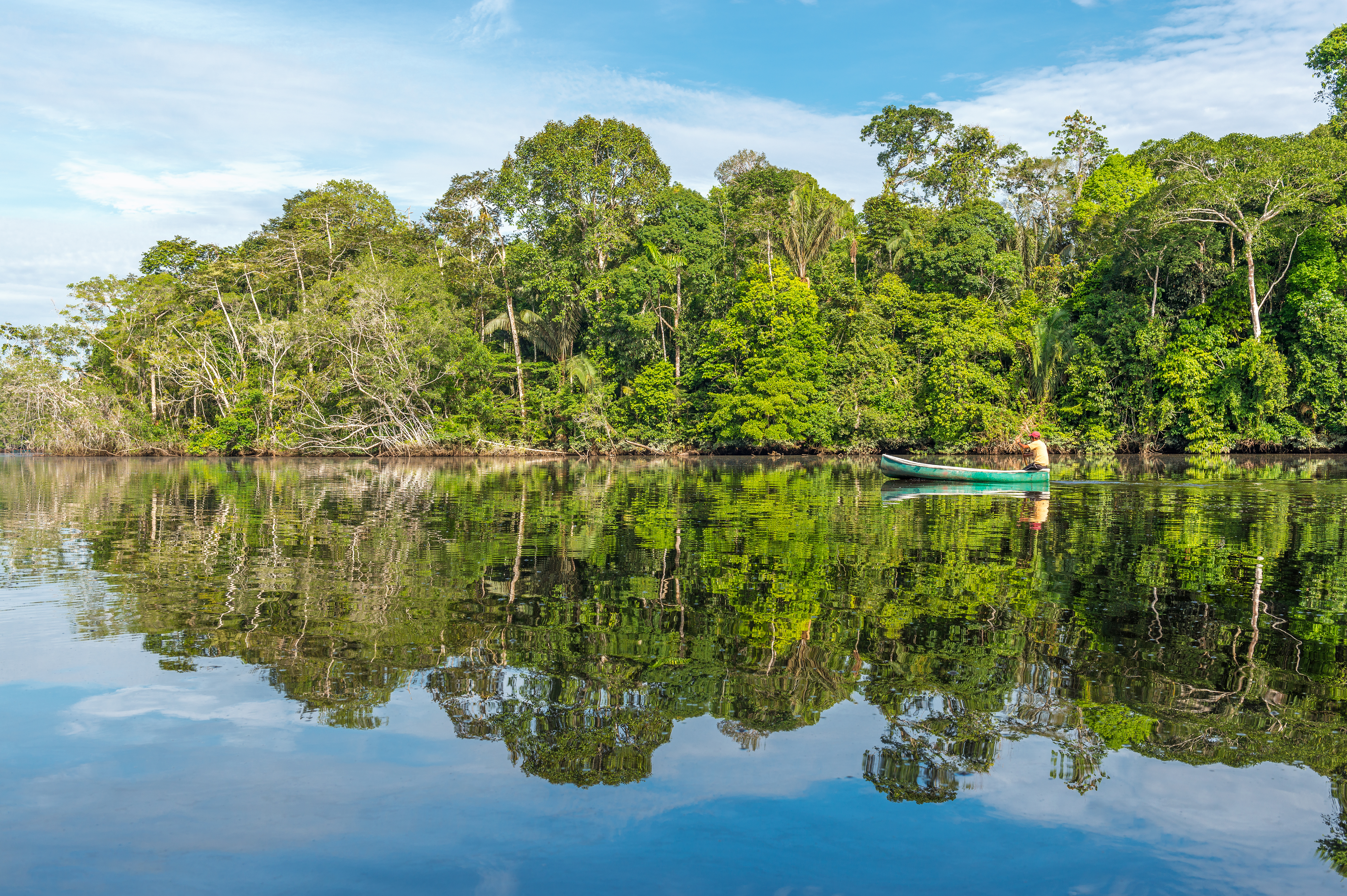 COL_Amazon_shutterstock_764587453