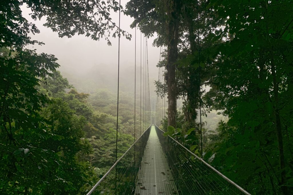 COS_Monteverde_HangingBridge_BZR_staff (2)