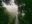 COS_Monteverde_HangingBridge_BZR_staff (2) COS_Monteverde_HangingBridge_BZR_staff (2)