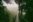 COS_Monteverde_HangingBridge_BZR_staff (2) COS_Monteverde_HangingBridge_BZR_staff (2)
