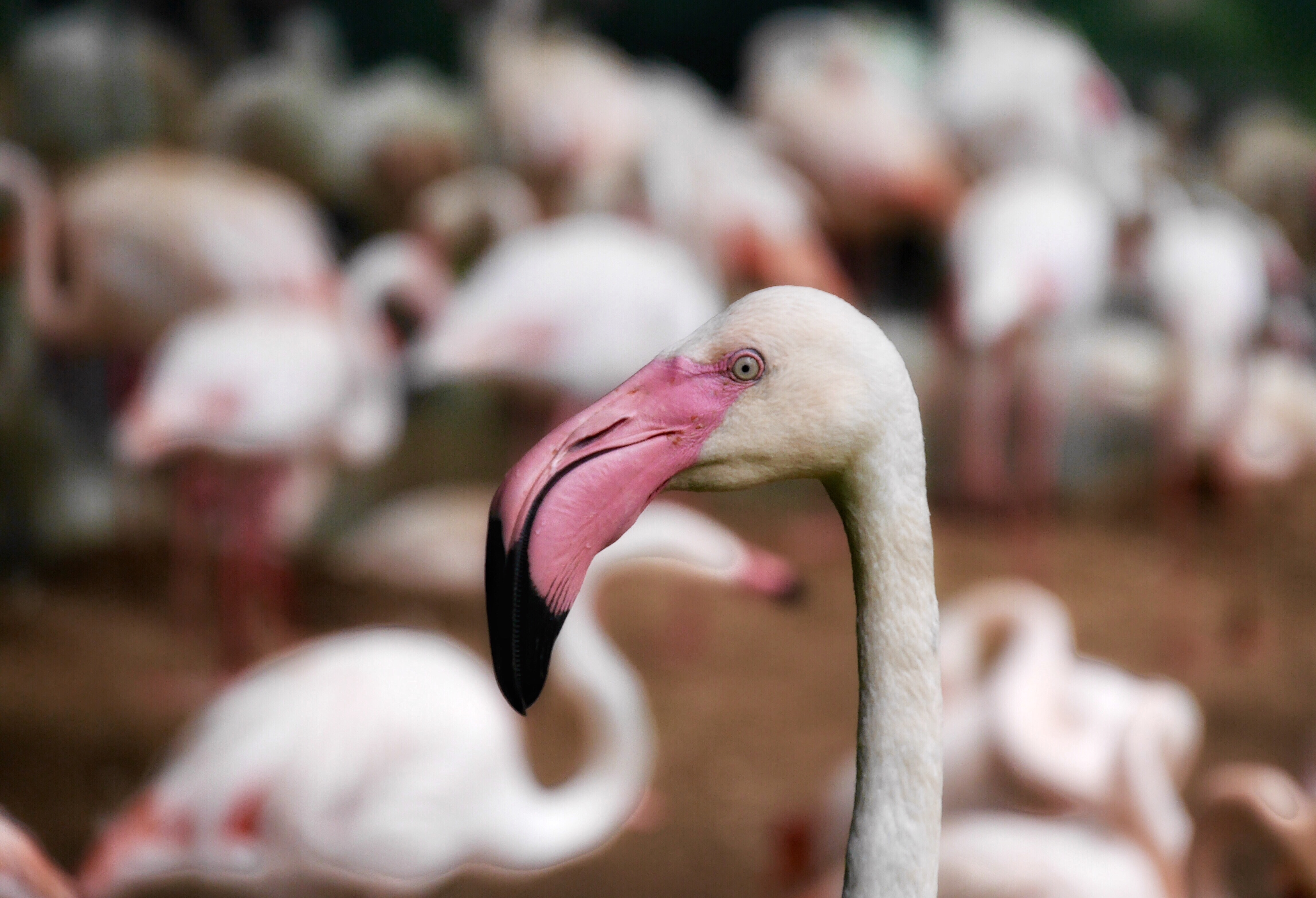 dirk-spijkers-TAehJQLADgo-unsplash