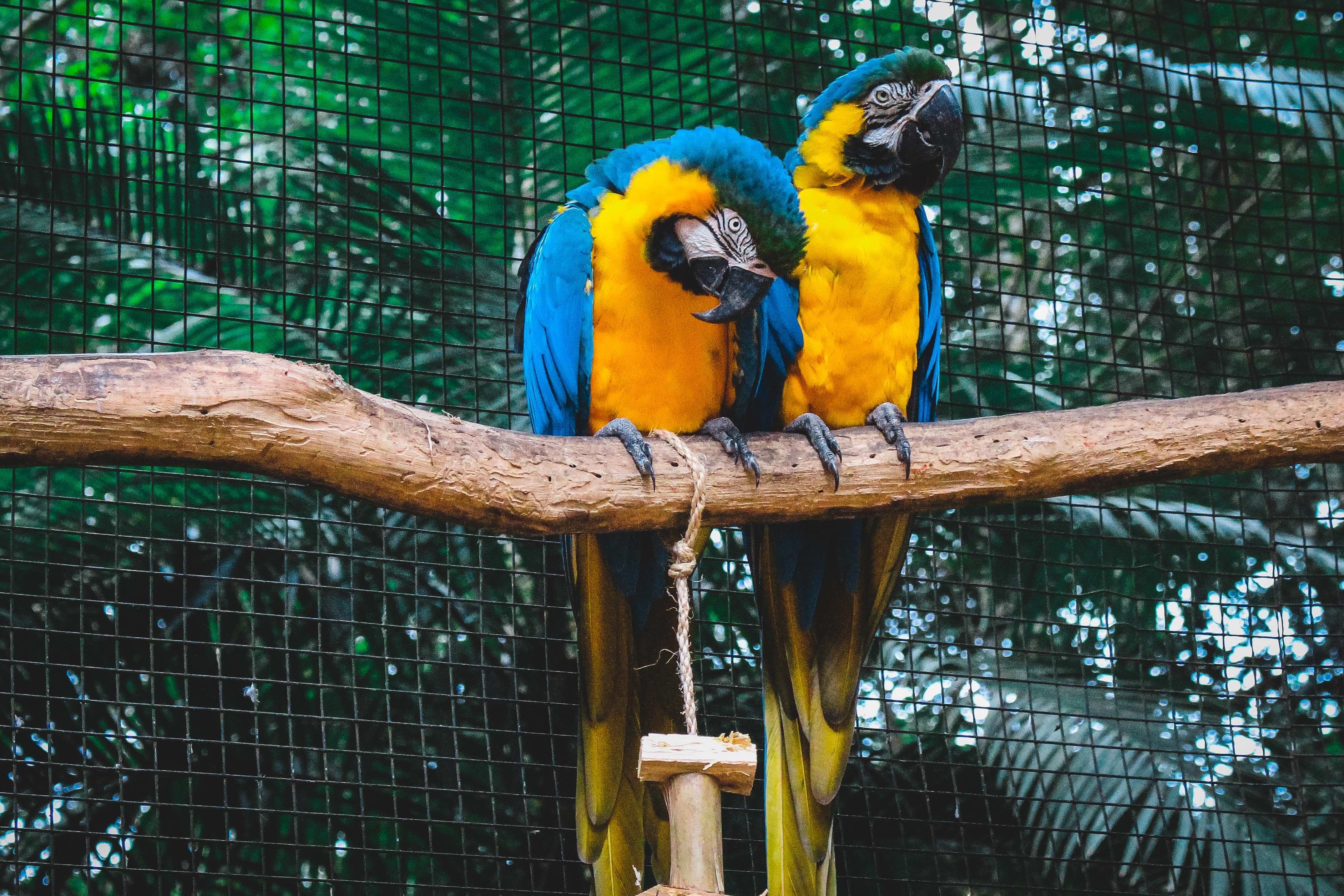 jonatan-lewczuk-oz537xKtiYA-unsplash