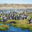 A large group of Magellanic penguins gathered beside the water in Argentina.