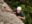 7Benclimb-cropped1