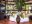 St Lucia – East Winds – bar