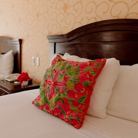 Mexico_Campeche_Plaza Campeche hotel (1)-min