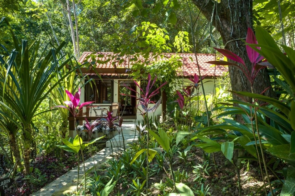 Belize_Maya Mountains_Black Rock Lodge (2)