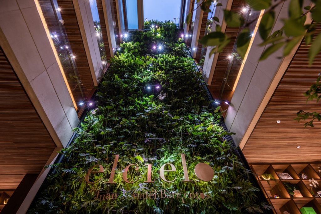 Muro Verde