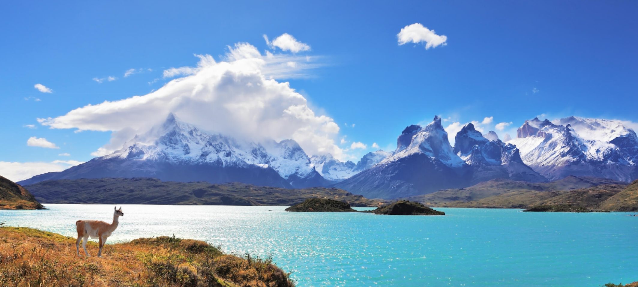 Puerto Varas: Innovación en Educación y Comunidad