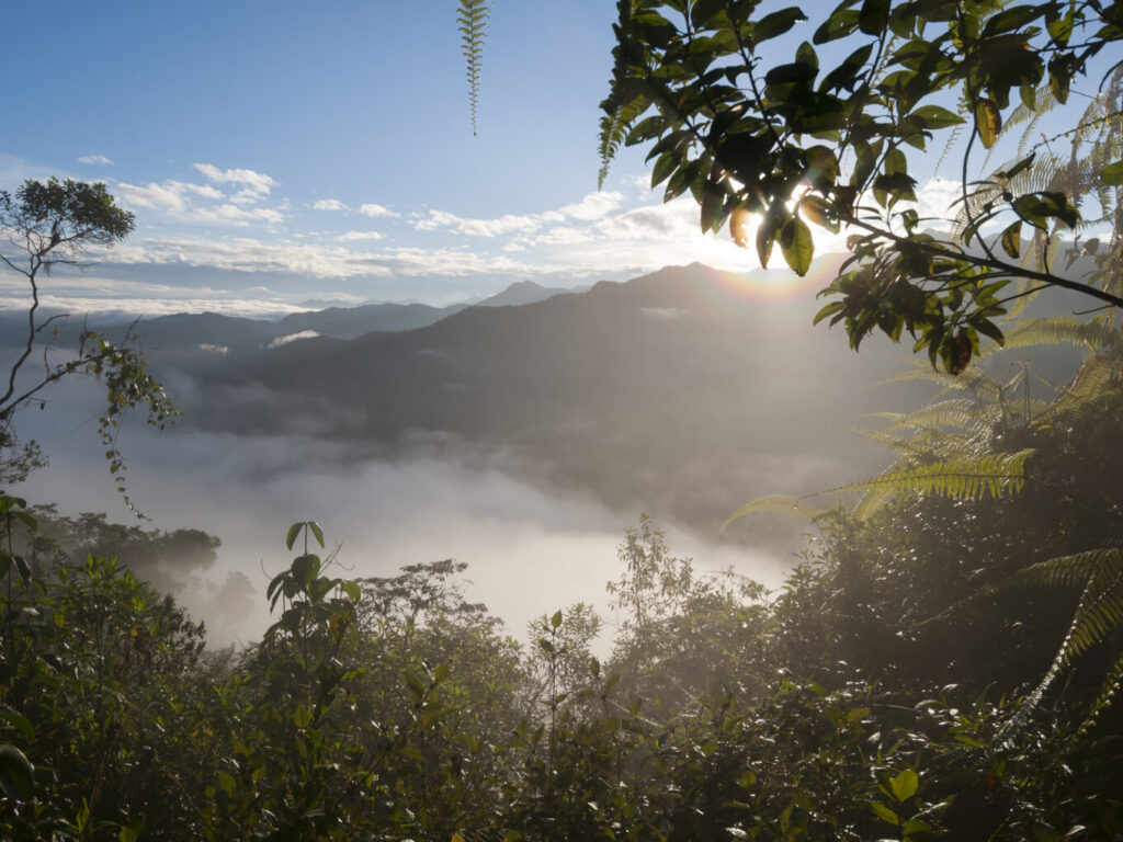 Bellavista Cloud Forest Reserve