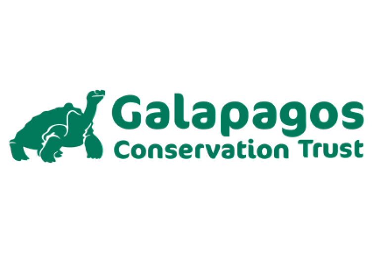 GCT logo reduced size (2)