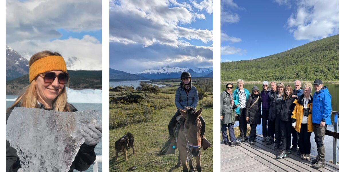 Where our staff have been collage (2)