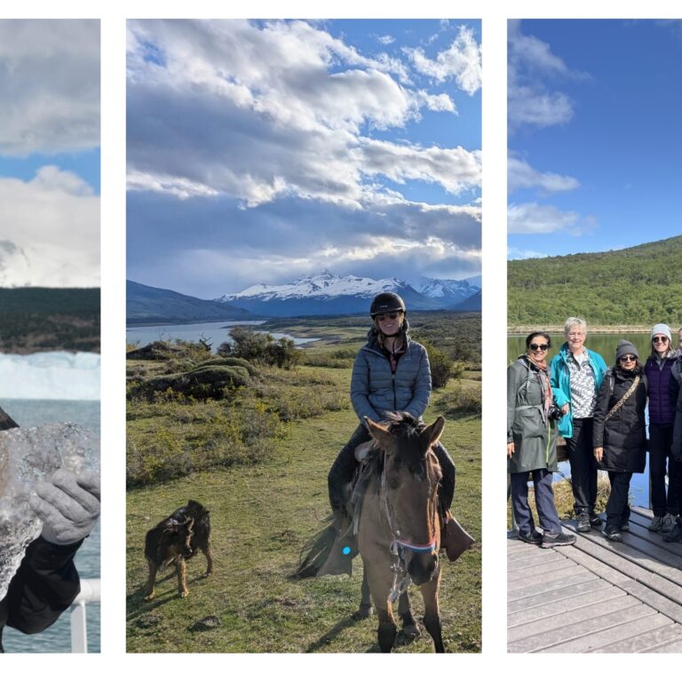 Where our staff have been collage (2)