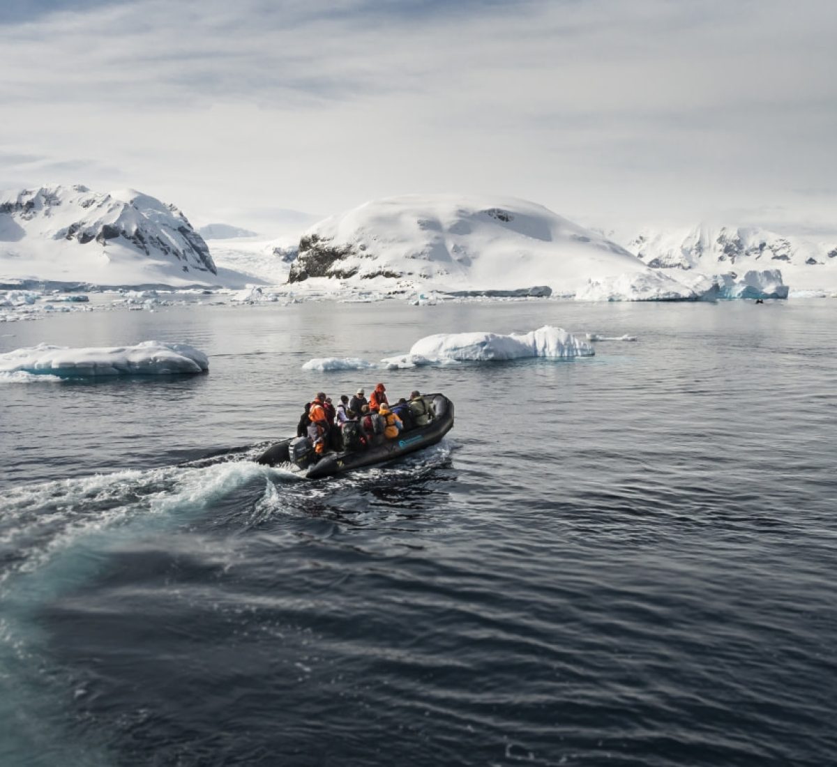 Antarctica – Oceanwide – Zodiac Cruising – Dietmar Denger