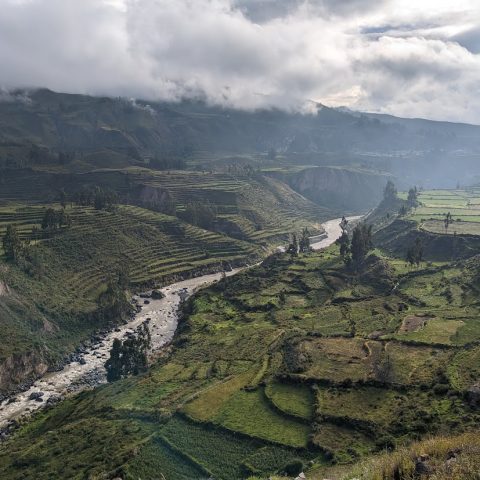 Peru – Colca Canyon – GT – 2023