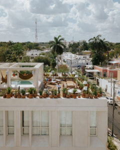 View of the rooftop
