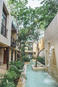 Outdoor area with fountain underneath lush trees